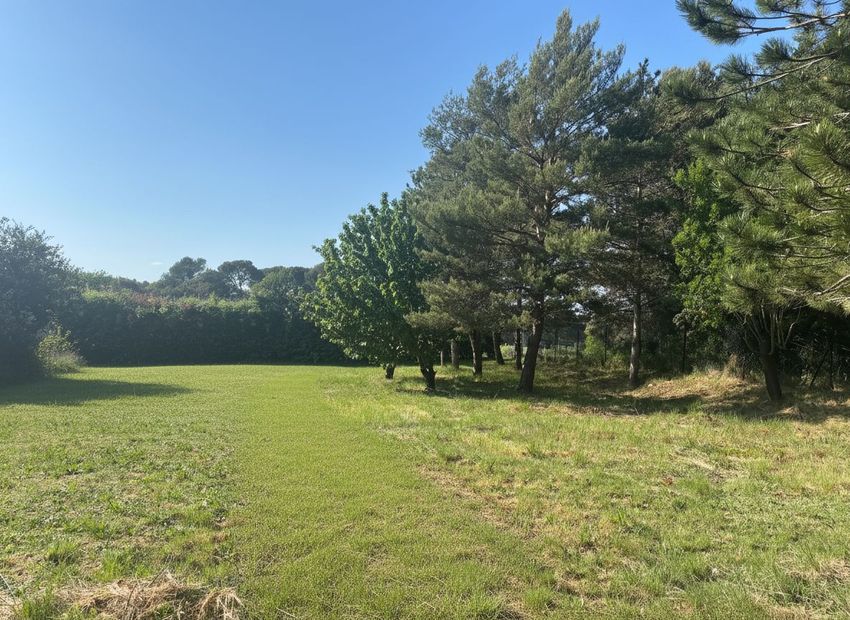 Image de terrain à Vernègues