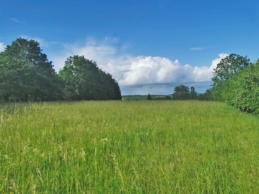 Image de terrain à La Cassagne