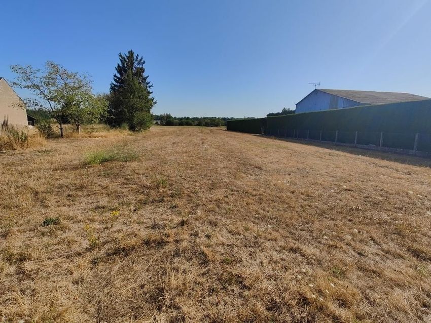 Image de terrain à Germigny-des-Prés