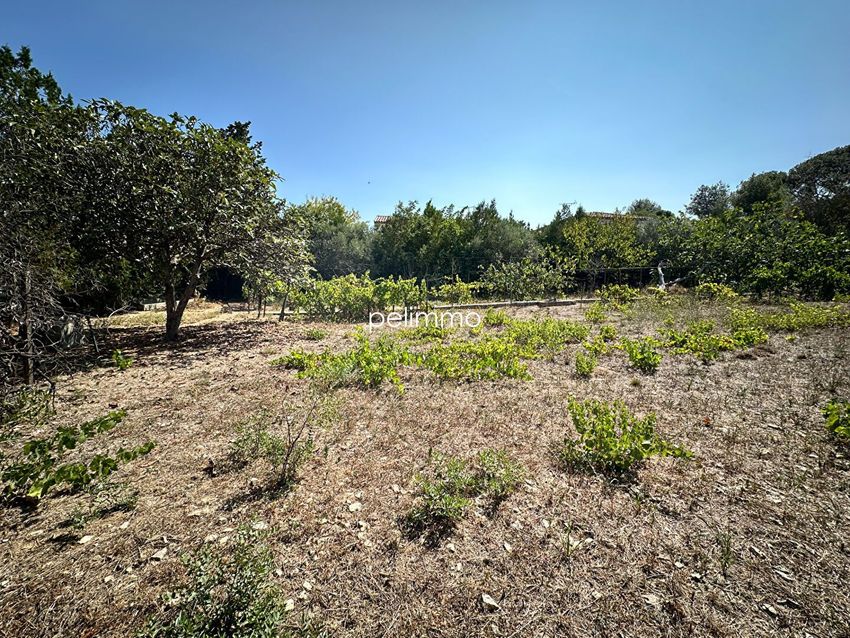 Image de terrain à Lançon-Provence