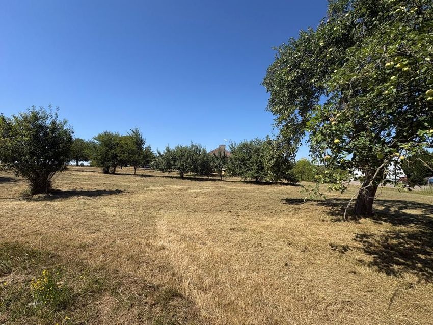 Image de terrain à Éclaron-Braucourt-Sainte-Livière