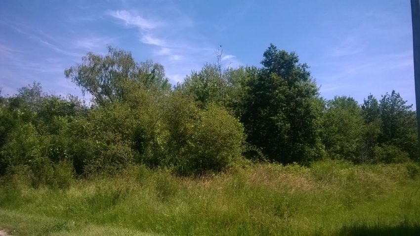 Image de terrain à Dhuizon