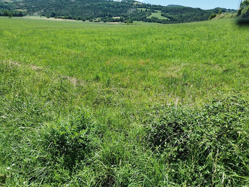 Image de terrain à La Bâtie-Neuve