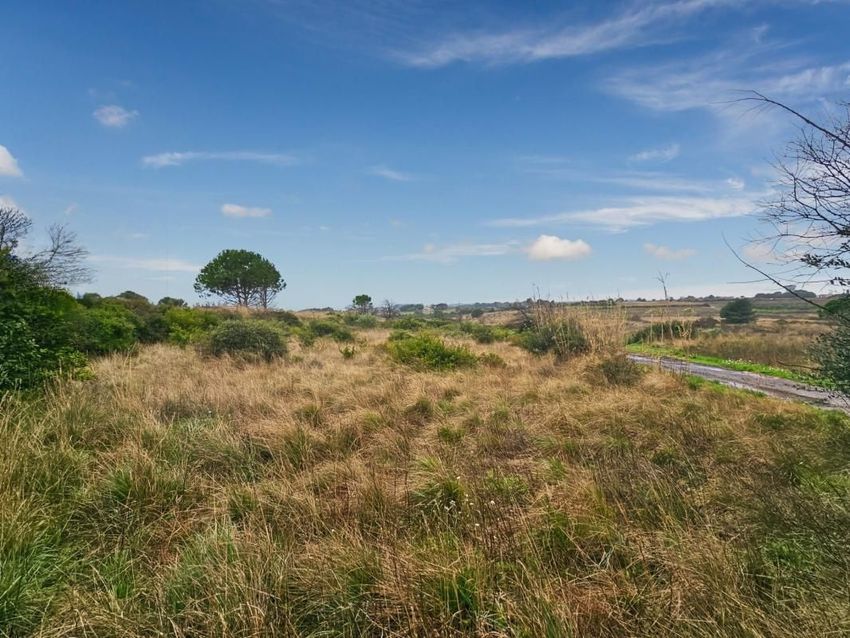 Image Vue à terrain de Varennes