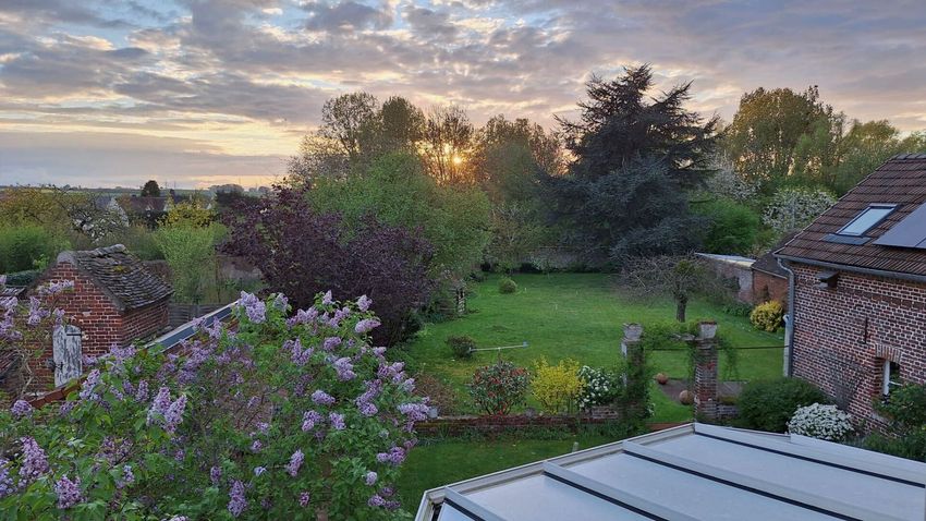 Image Jardin à  maison individuelle de Allonne