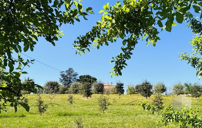 Image Jardin à  propriété agricole de Romans-sur-Isère