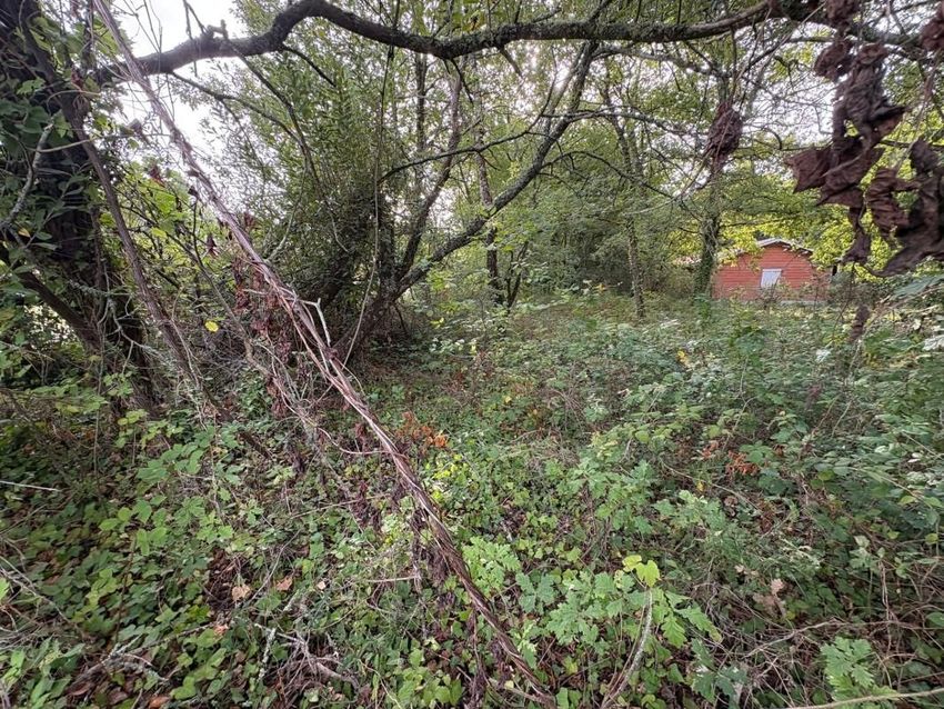 Image de terrain à Grayan-et-l'Hôpital
