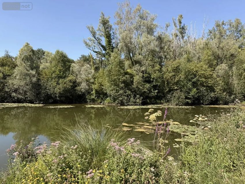 Image de terrain à Argœuves