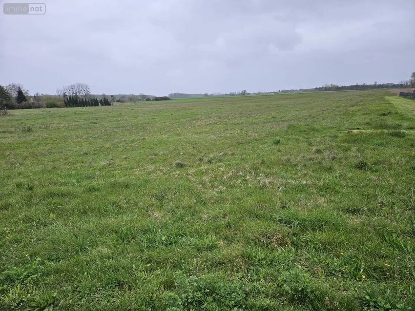 Image de terrain à Savigné-sur-Lathan