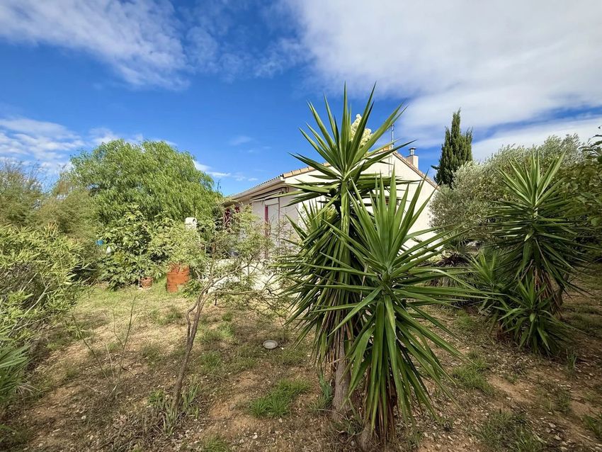 Image Jardin à  maison individuelle de Moussan