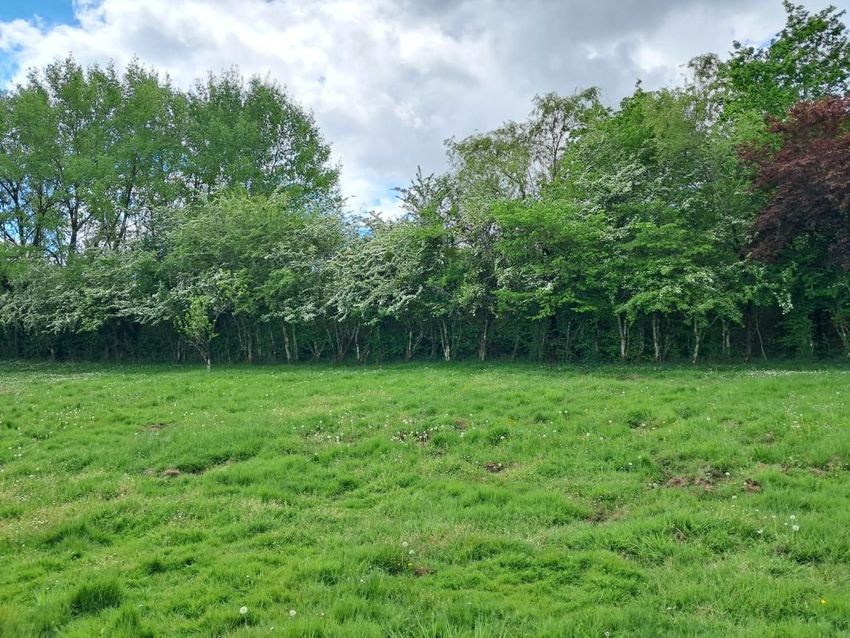 Image de terrain à Bassens