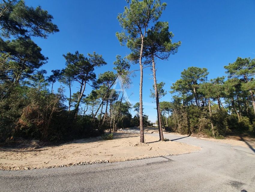 Image de terrain à Saint-Jean-de-Monts