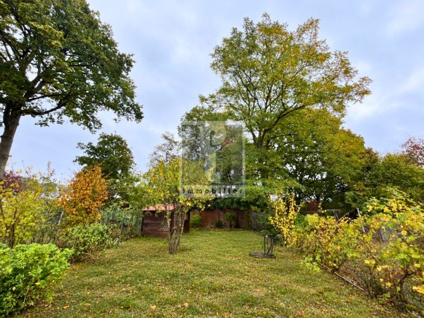 Image Jardin à  maison individuelle de Moret-Loing-et-Orvanne
