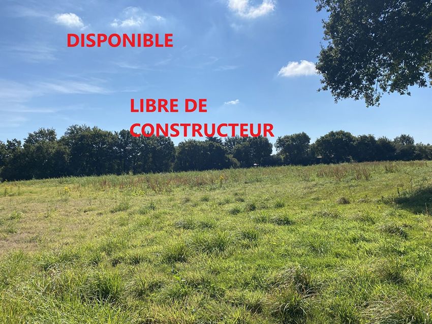 Image de terrain à Saint-Père-en-Retz