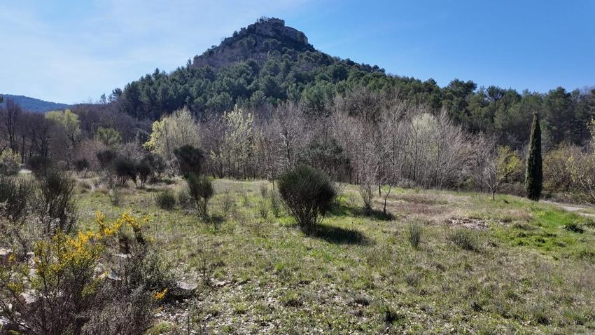 Image Vue à terrain de Entrechaux