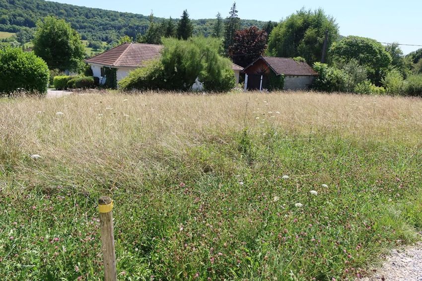 Image de terrain à Rurey