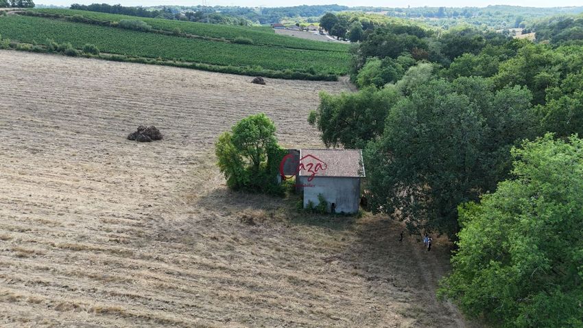Image de terrain à Lignan-de-Bordeaux