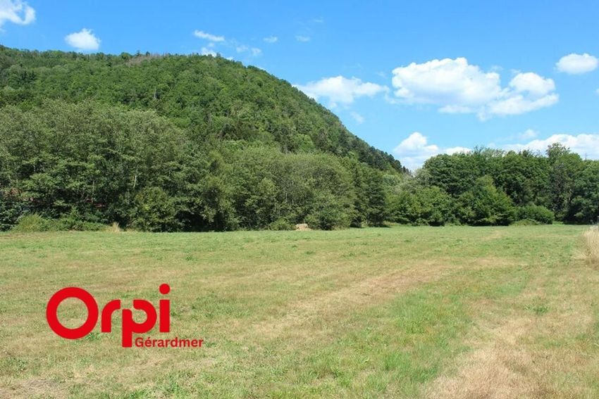 Image de terrain à Saulxures-sur-Moselotte