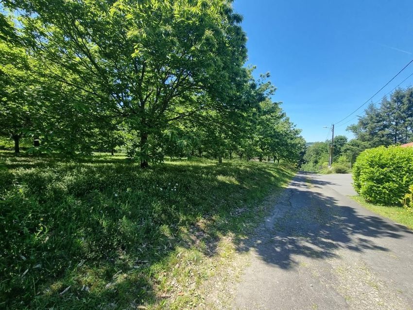 Image de terrain à Saint-Yrieix-la-Perche