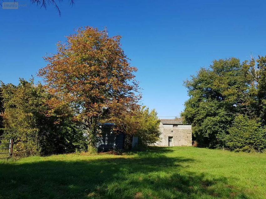 Image de terrain à Chiré-en-Montreuil