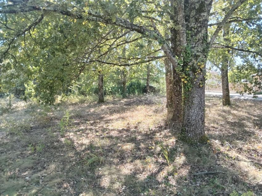 Image de terrain à Salles