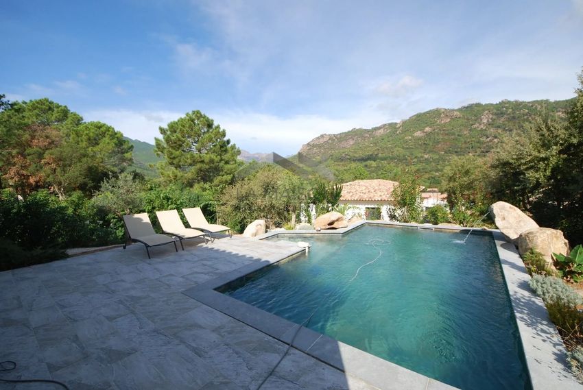 Image Piscine à  villa de Zonza