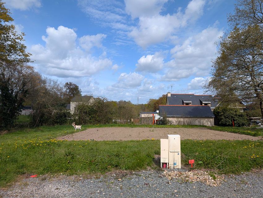 Image de terrain à Treillières