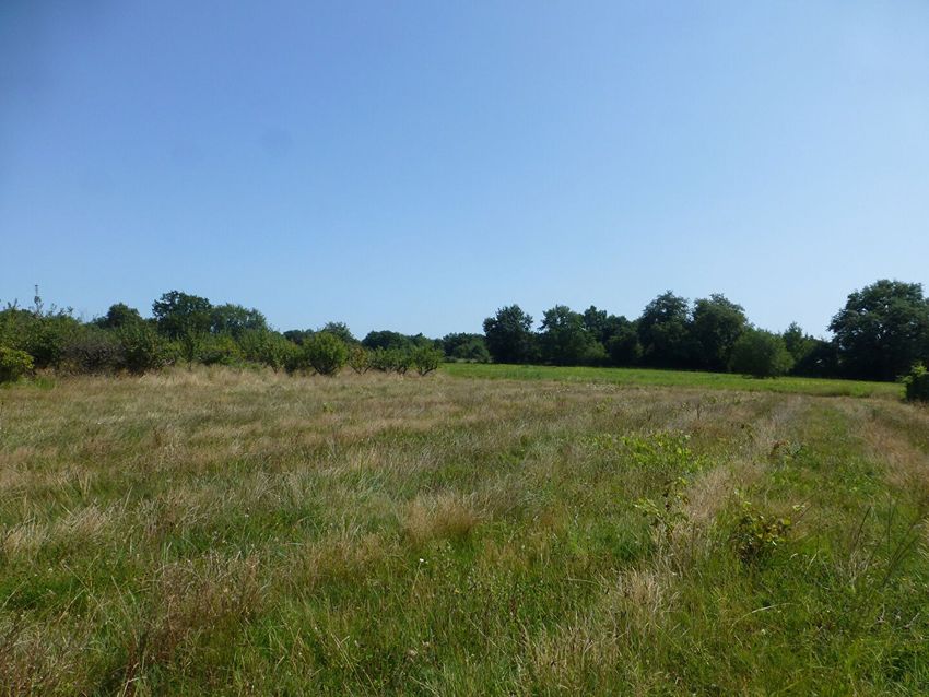 Image de terrain à Saint-Caprais-de-Bordeaux