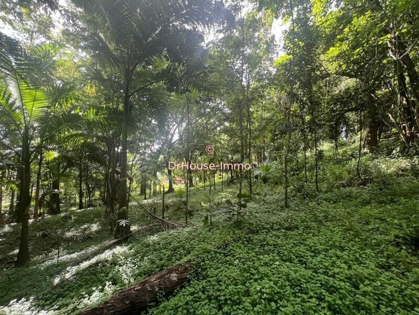 Image de terrain à Bouillante