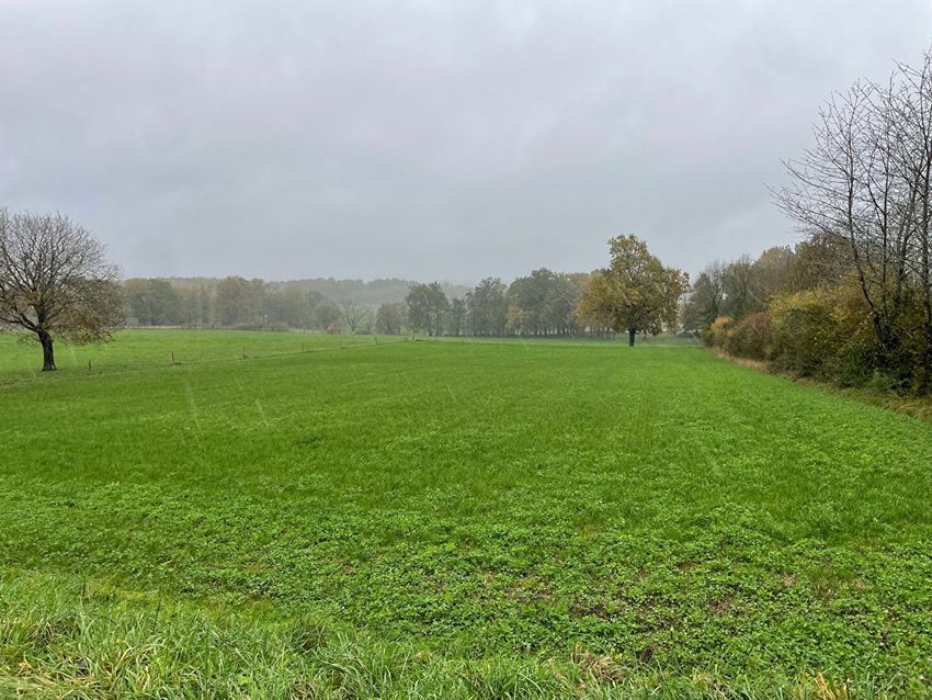 Image de terrain à Thiviers