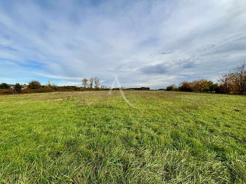 Image de terrain à Soings-en-Sologne