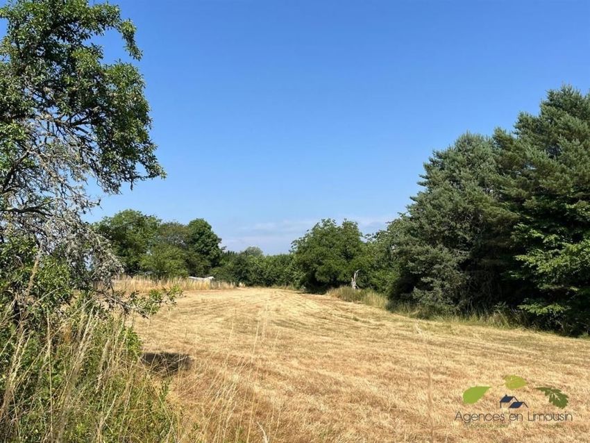 Image de terrain à Châteauneuf-la-Forêt
