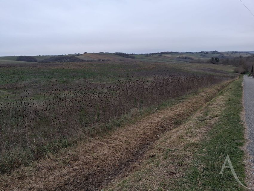 Image de terrain à Le Faget