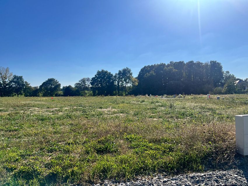 Image Vue à terrain de Saint-Mars-du-Désert
