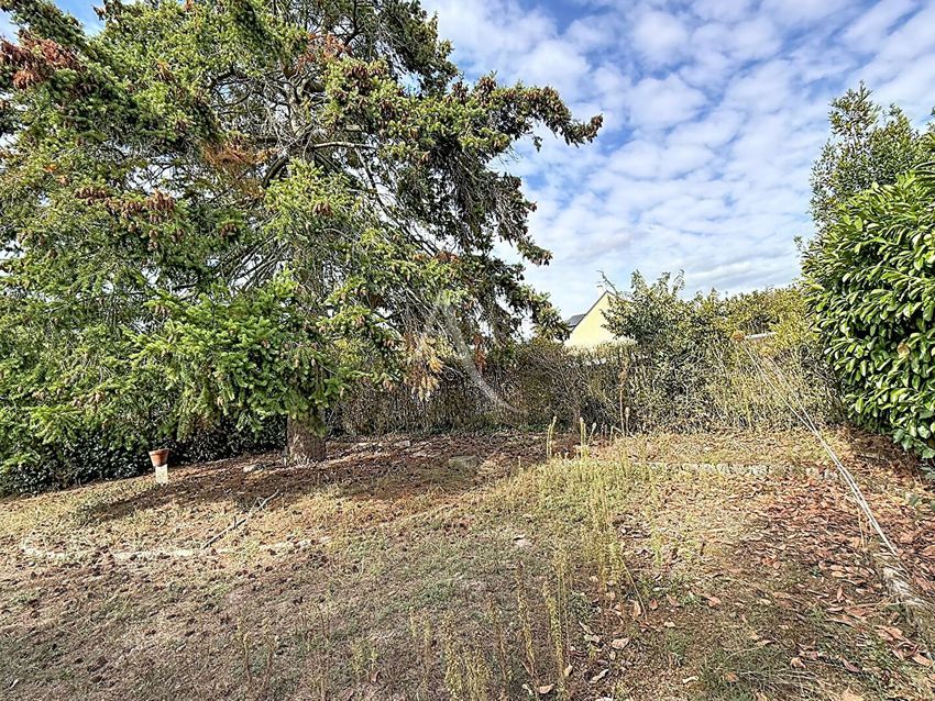 Image de terrain à Verrières-en-Anjou
