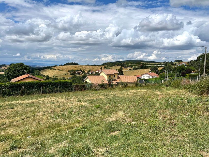 Image Vue à terrain de Violay