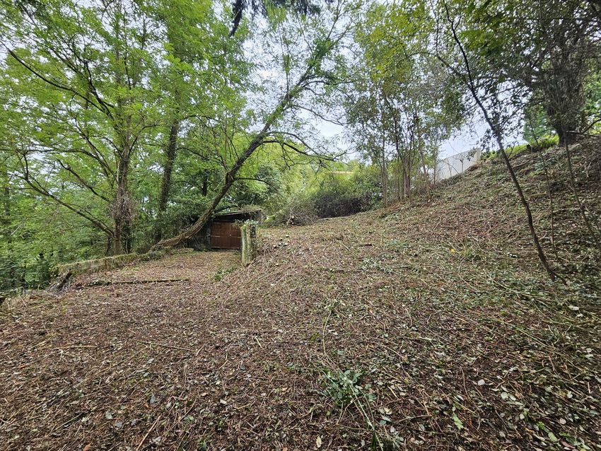 Image de terrain à Ainhoa