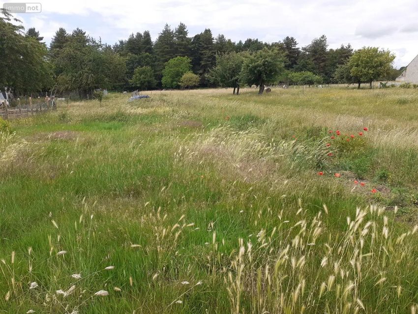 Image de terrain à Écommoy