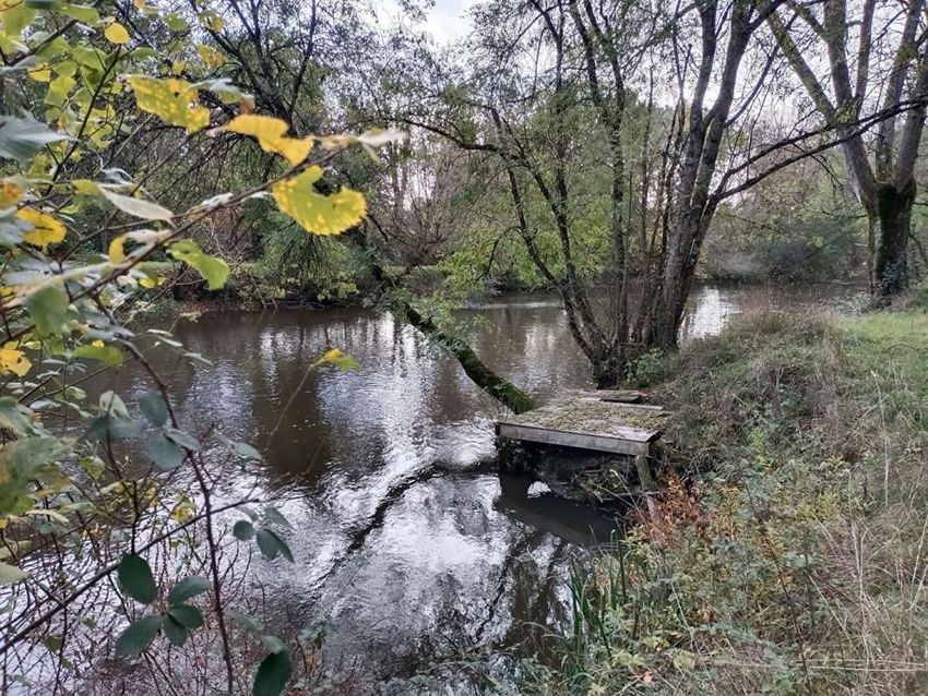 Image de terrain à Pruniers-en-Sologne