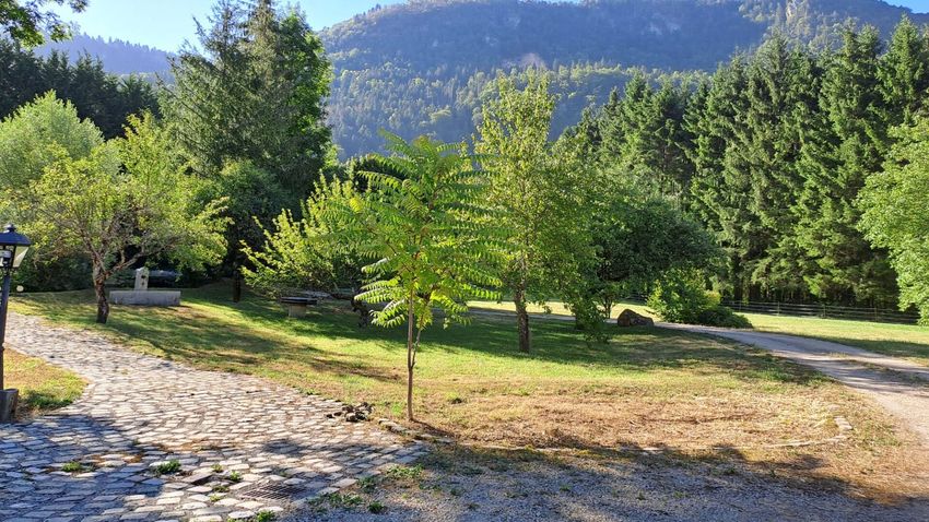 Image Jardin à  maison individuelle de Nantua