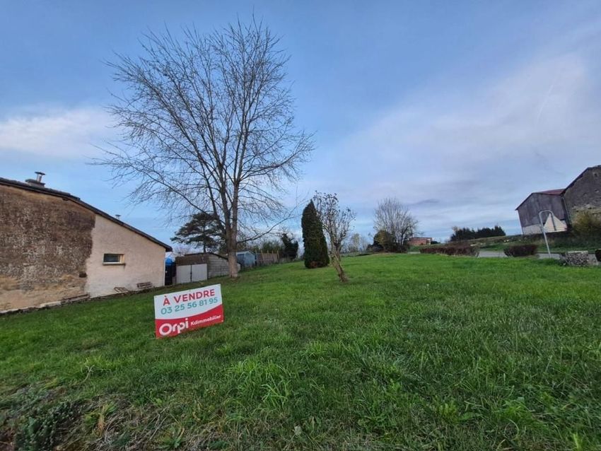 Image de terrain à Dommartin-le-Franc