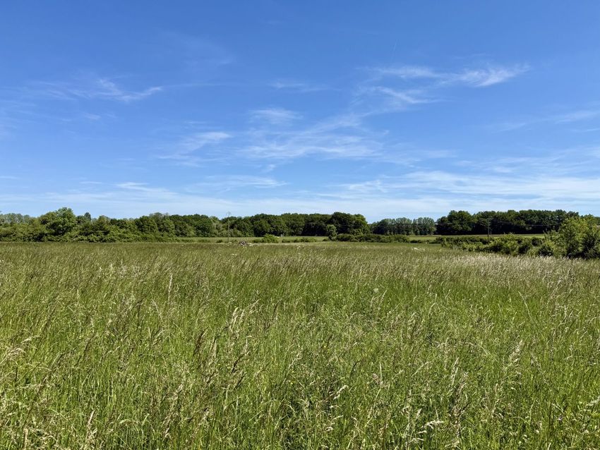 Image Vue à terrain de Saint-Jean-de-Bonneval
