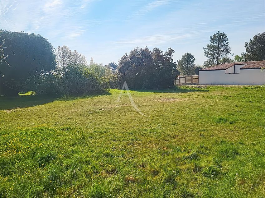 Image de terrain à Notre-Dame-de-Monts