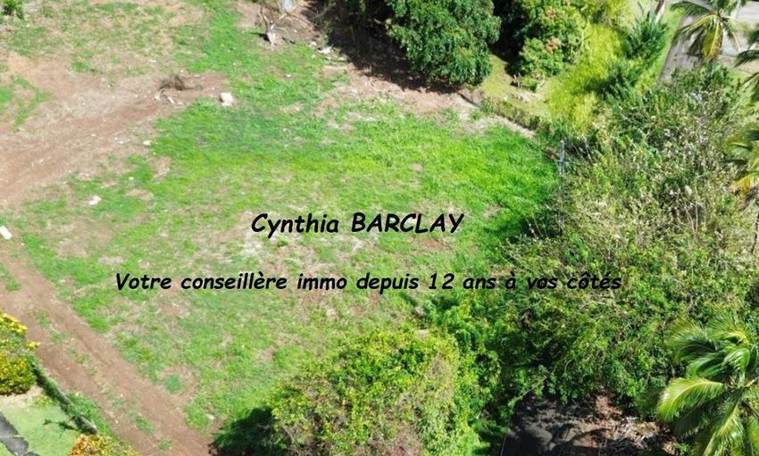 Image de terrain à Ducos
