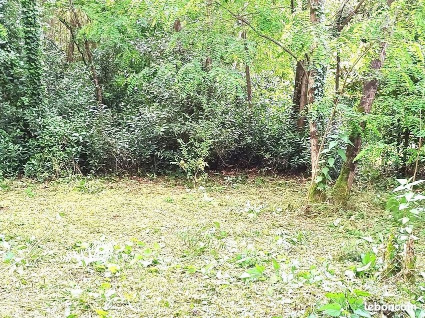 Image de terrain à Pessac