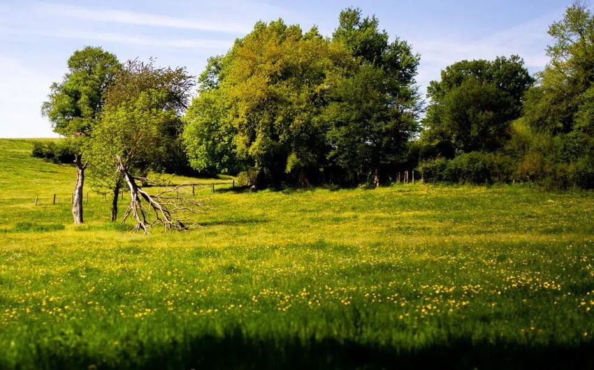 Image de terrain à Saint-Guinoux