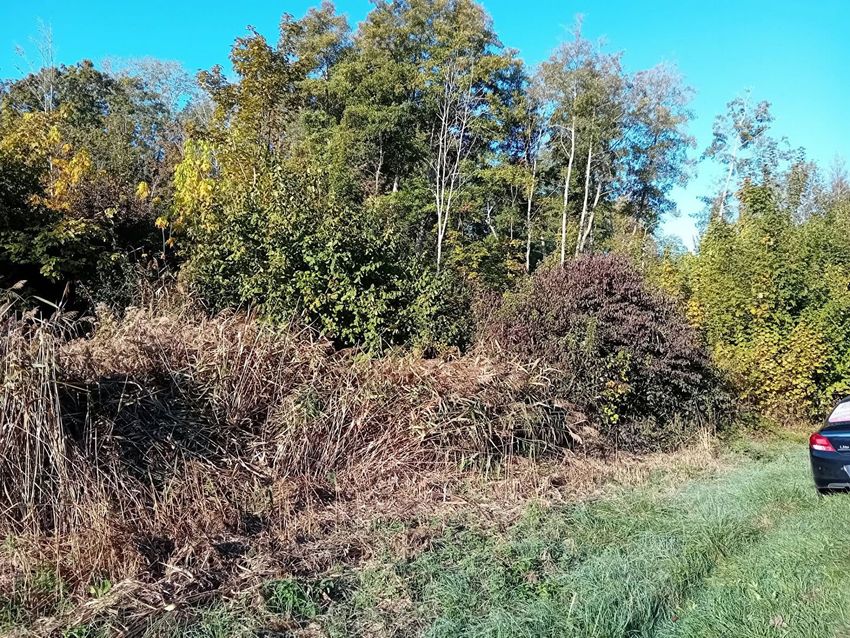 Image de terrain à Saint-Georges-Motel