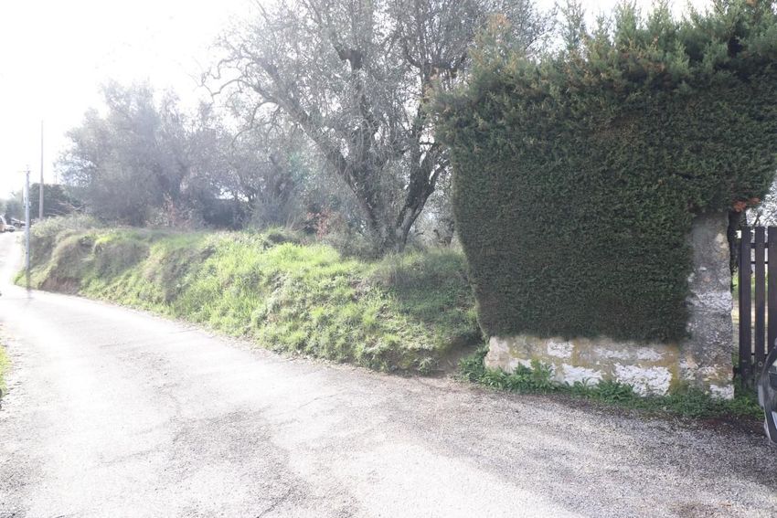 Image de terrain à Contes