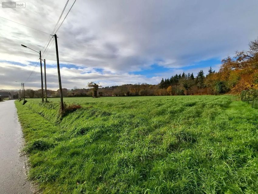 Image de terrain à Saint-Nicolas-du-Pélem