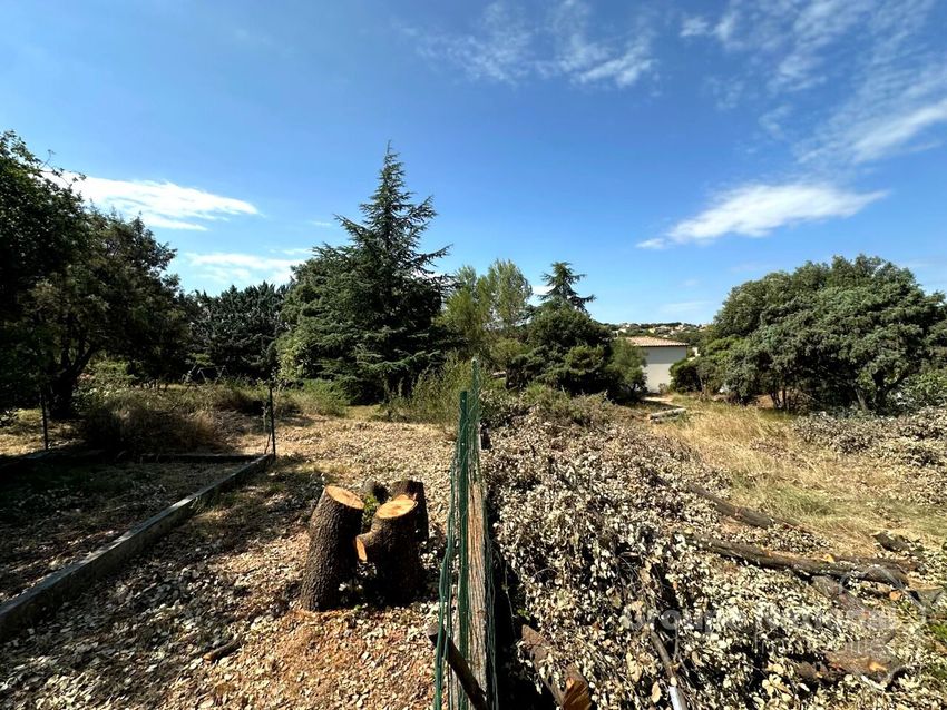 Image de terrain à Poulx